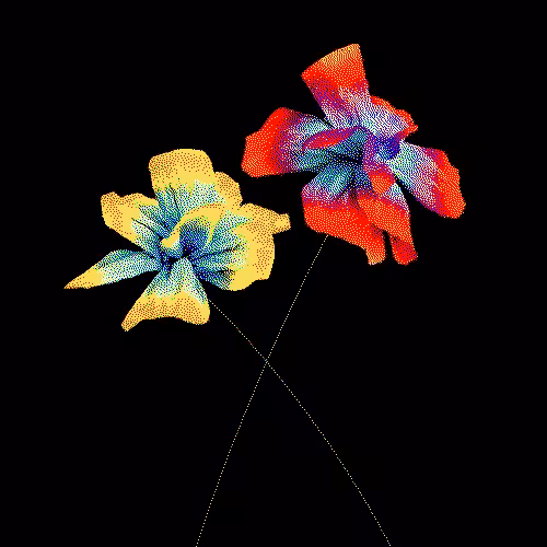 album cover for 'Così speciale'