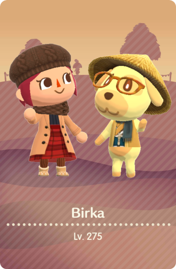 the front of a camper card from ACPC